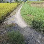 Bán đất full thổ 1957m² Tân Trụ Long An 2 tỷ 800 - Ảnh thu nhỏ 2
