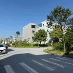 Bán lô đất 74.4m² mặt tiền 4.8m Nguyễn Lương Bằng Hải Dương - Ảnh thu nhỏ 5