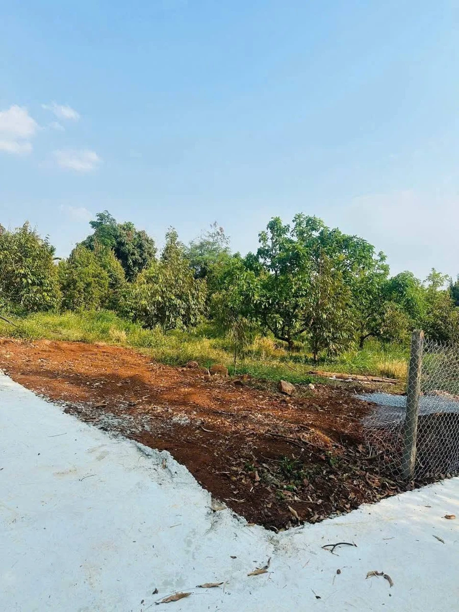 Bán đất mặt tiền đường 19/5 Bình Chánh 1116m2, 2 tỷ 650tr - Ảnh thu nhỏ 2