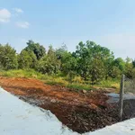 Bán đất mặt tiền đường 19/5 Bình Chánh 1116m2, 2 tỷ 650tr - Ảnh thu nhỏ 2