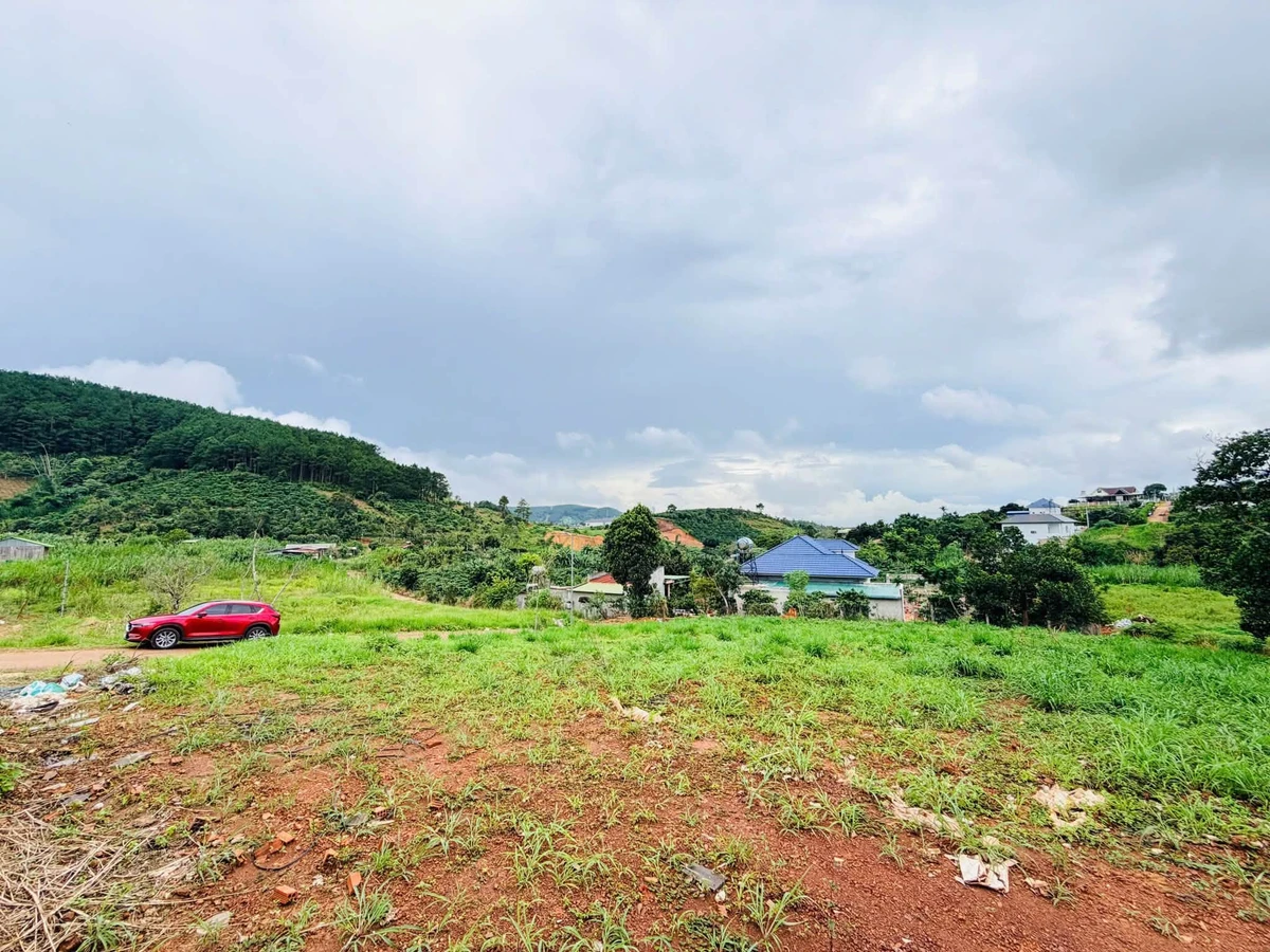 Bán đất 80m² view rừng thông Nam Ban giá 550 triệu - Ảnh thu nhỏ 3