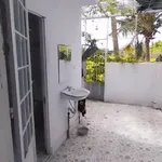 Cho thuê nhà mặt tiền kinh doanh 100m2 Phan Thiết - Ảnh thu nhỏ 5