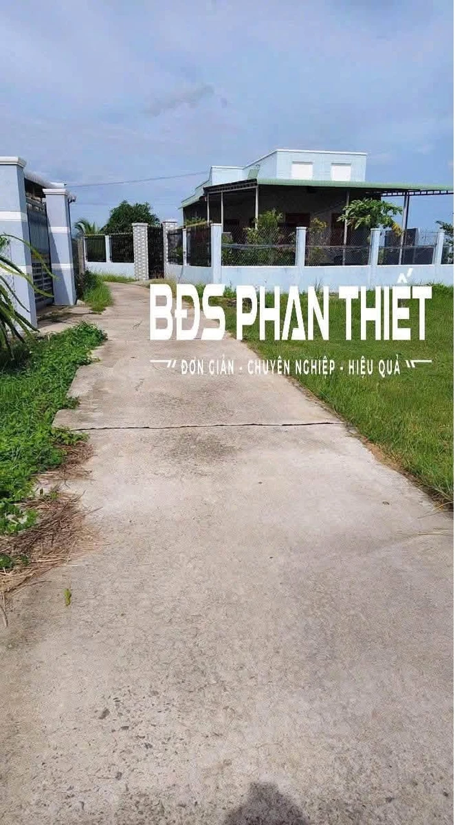 Bán đất thổ cư 100m² Hàm Liêm Phan Thiết gần Quốc Lộ 28 - Ảnh thu nhỏ 2