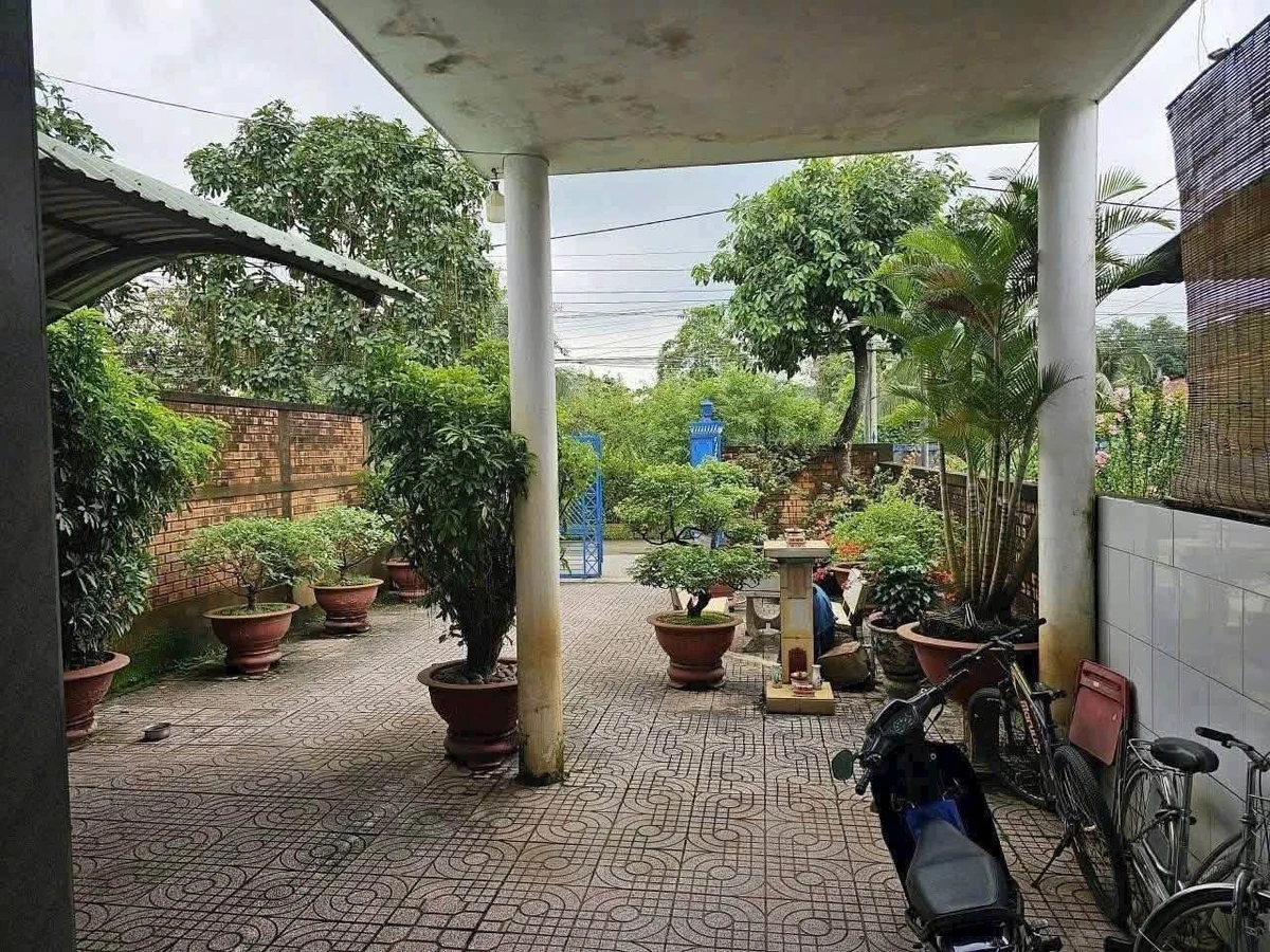 Bán nhà vườn 705m² view sông Hiệp Hòa Nhà Bè 15,5 tỷ - Ảnh thu nhỏ 3