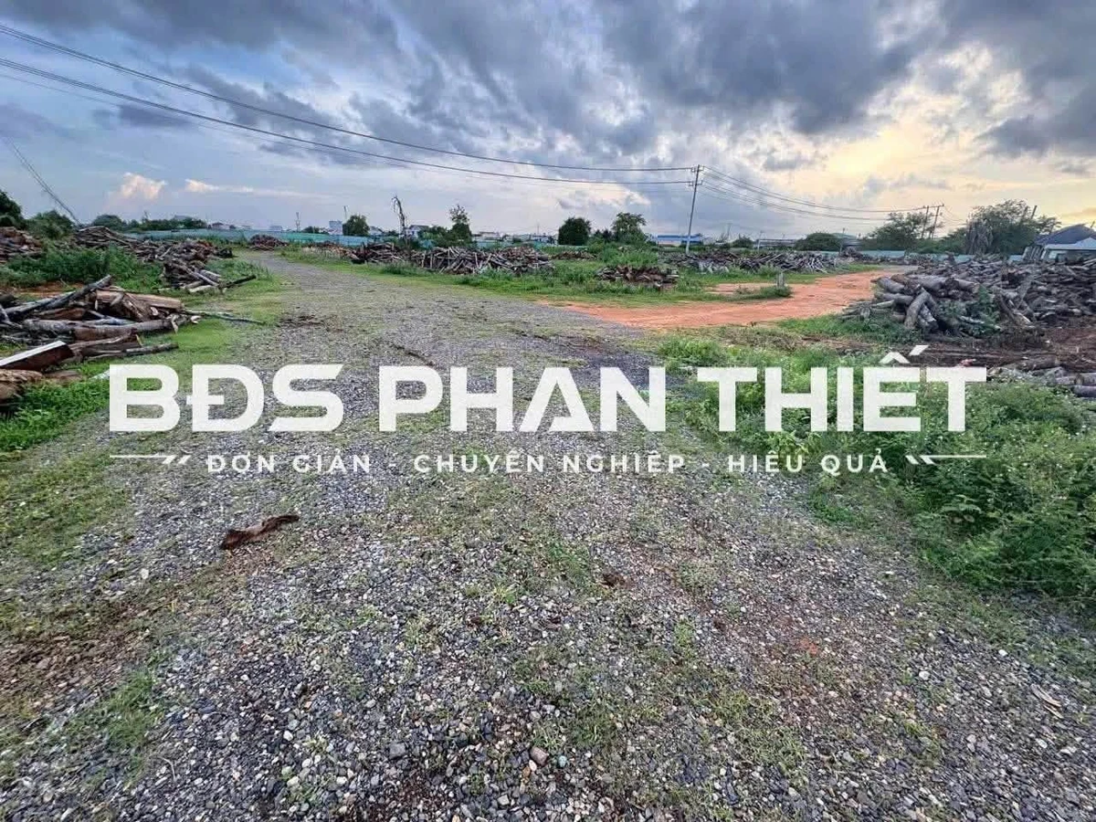 Bán đất 2002.9 m² Hàm Thắng, Bình Thuận 3 tỷ - Ảnh 1