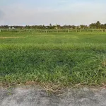 Bán đất 200m² full thổ cư Tây Ninh 460 triệu - Ảnh thu nhỏ 2
