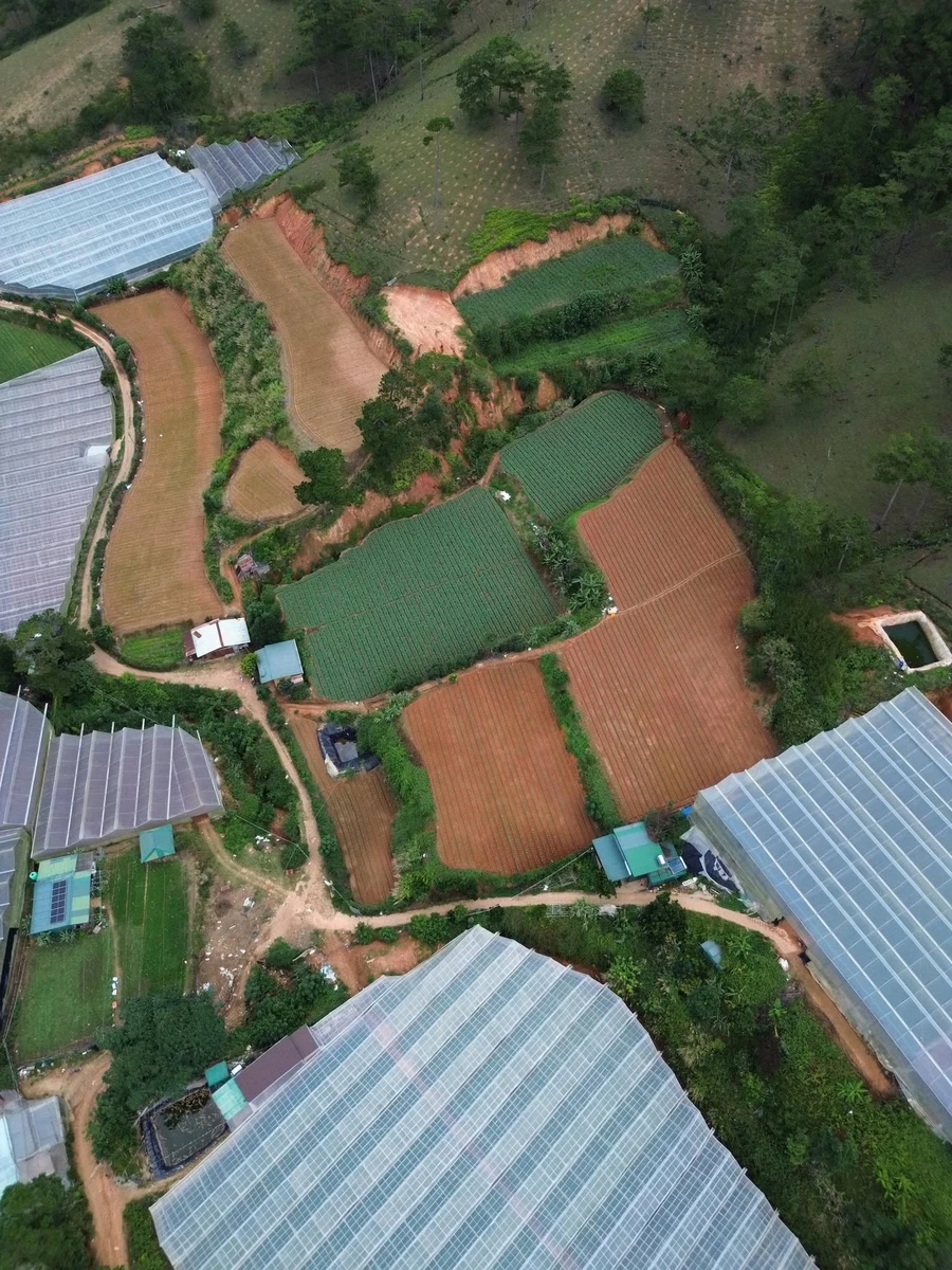 Bán 8000m² đất Đà Lạt, giá 4,5 tỷ - Ảnh thu nhỏ 2
