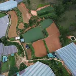 Bán 8000m² đất Đà Lạt, giá 4,5 tỷ - Ảnh thu nhỏ 2