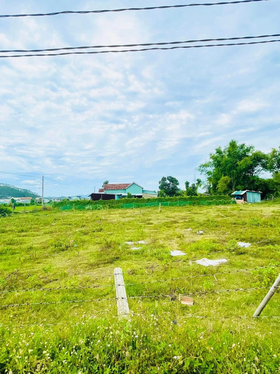 Bán lô đất vườn 2500m² Phước Lộc, Tuy Phước, Khánh Hòa - Ảnh thu nhỏ 3