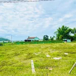 Bán lô đất vườn 2500m² Phước Lộc, Tuy Phước, Khánh Hòa - Ảnh thu nhỏ 3