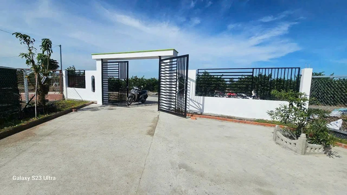 Bán nhà vườn 1000m² Thủ Thừa, Long An giá 1,199 tỷ - Ảnh thu nhỏ 2