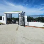 Bán nhà vườn 1000m² Thủ Thừa, Long An giá 1,199 tỷ - Ảnh thu nhỏ 2