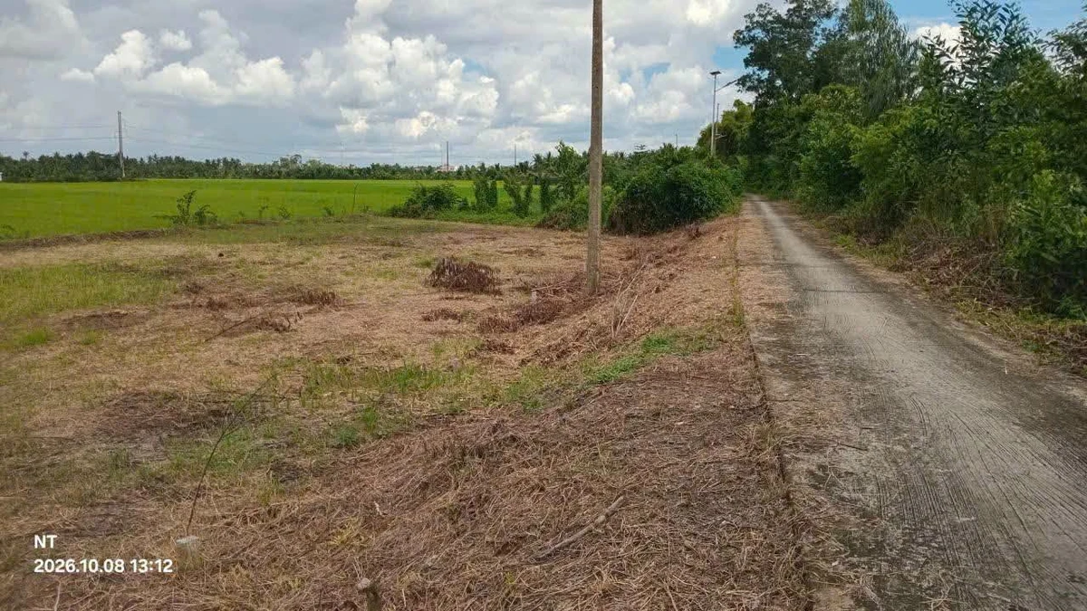 Bán đất nền thổ cư 110m² mặt tiền đường đal tại Tân Long Hội, Mang Thít, Vĩnh Long - Ảnh thu nhỏ 2