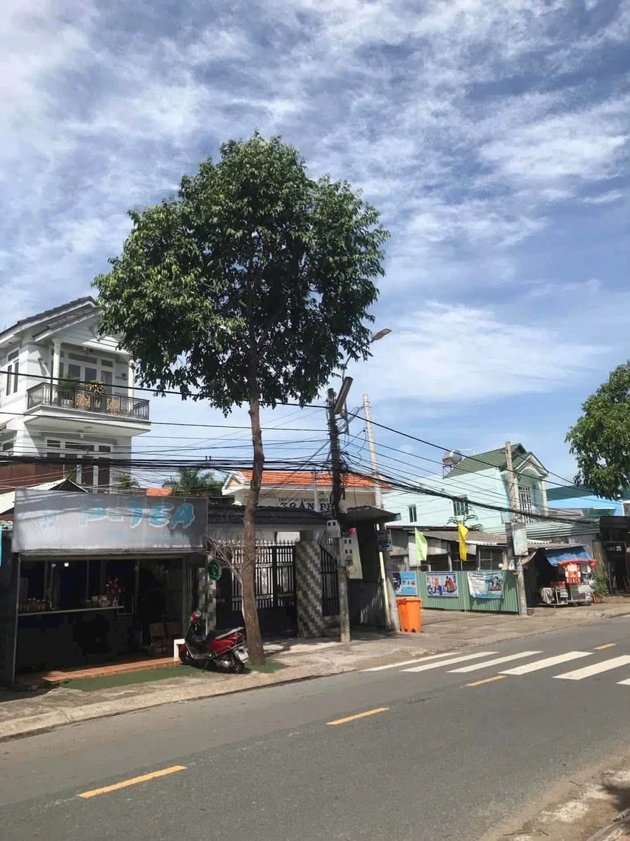 Bán nhà mặt tiền Nguyễn Văn Rành Tân An 106m² 4.2 tỷ - Ảnh thu nhỏ 5