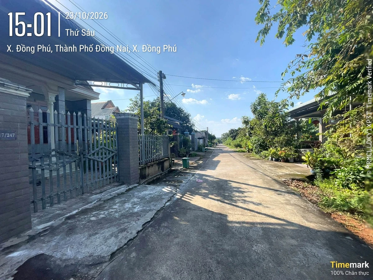 Bán đất 288m² Đồng Phú Bình Chánh 900 triệu - Ảnh thu nhỏ 3