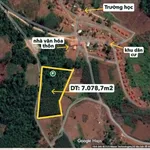 Bán đất 7000m² tại Làng Hà Đừng, Cần Giờ - Ảnh thu nhỏ 2