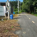 Bán đất Long Nguyên 100m² Bình Dương 1,1 tỷ - Ảnh thu nhỏ 3