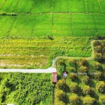 980tr, 1000m2 có thổ cư gần hết đất, gần dự án KCN Hiệp Thạnh, đường bê tông - Ảnh thu nhỏ 20