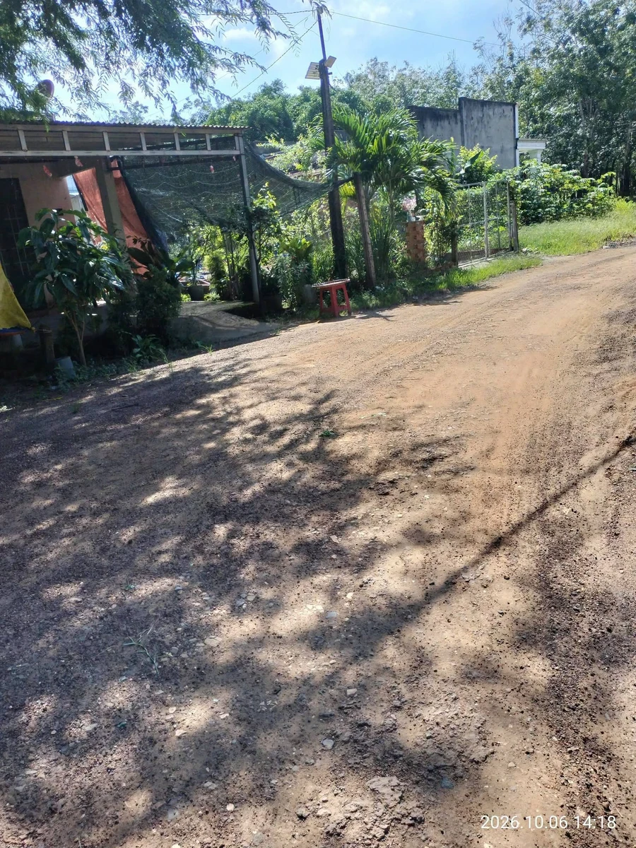 Bán đất CLN 27x20m mặt tiền đường nhựa sỏi phường Bình Minh, Tây Ninh - Ảnh thu nhỏ 4