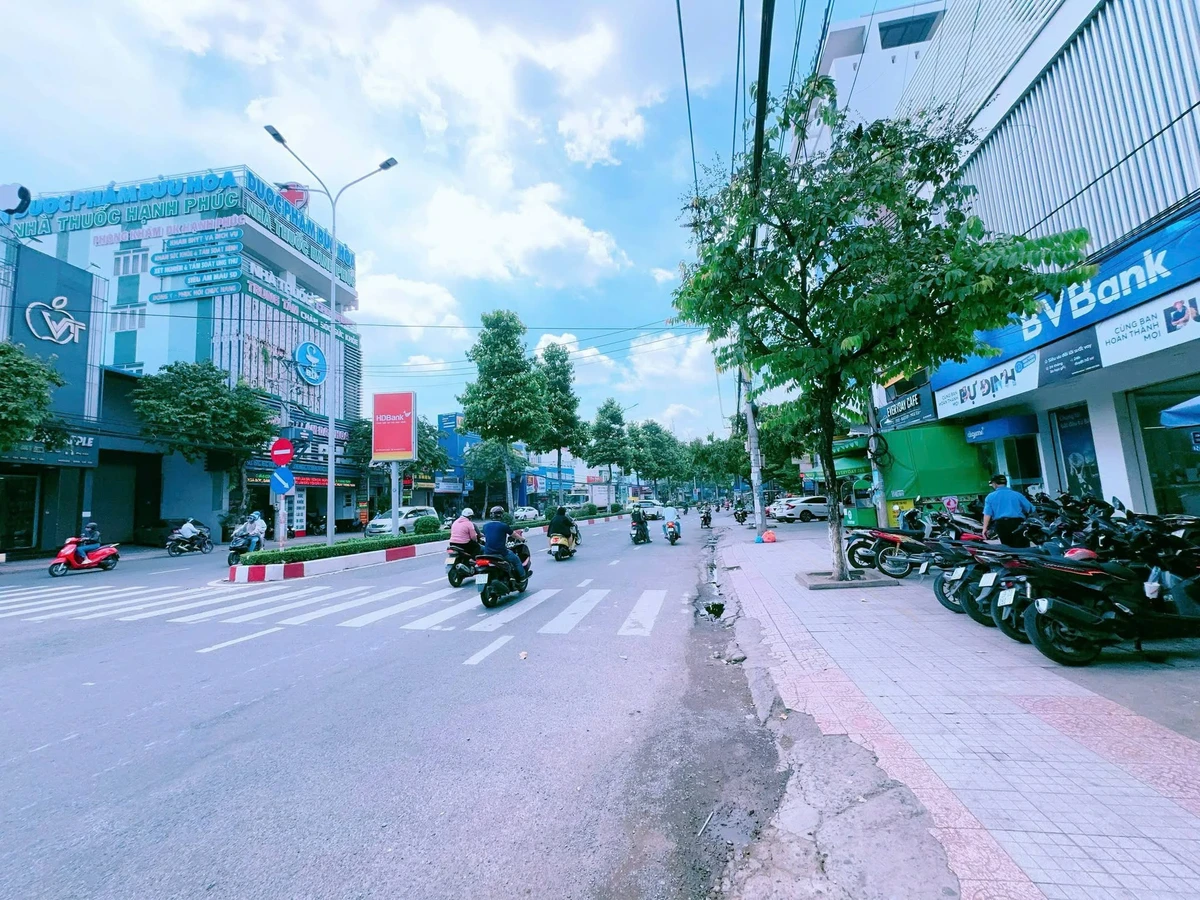 Bán đất mặt tiền Nguyễn Ái Quốc 186m2 đối diện công viên Dương Tử Giang, Biên Hòa - Ảnh thu nhỏ 4