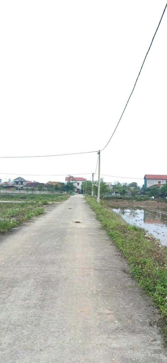 Bán đất nền 266m² khu Tân Ninh Cần Giờ - Ảnh thu nhỏ 2