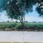 Bán đất Bình Đại, Bến Tre, 1.148m2, 1 tỷ 650 triệu - Ảnh thu nhỏ 1