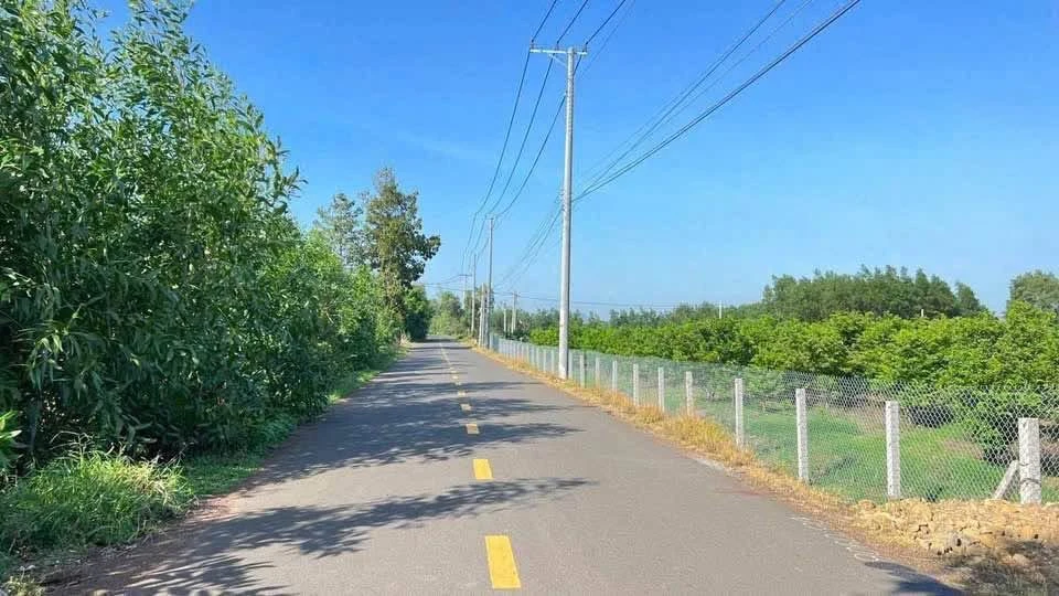Bán đất mặt tiền Phạm Hùng 1441m2 ngang 20m gần KCN Đất Đỏ, Bà Rịa - Vũng Tàu - Ảnh thu nhỏ 3