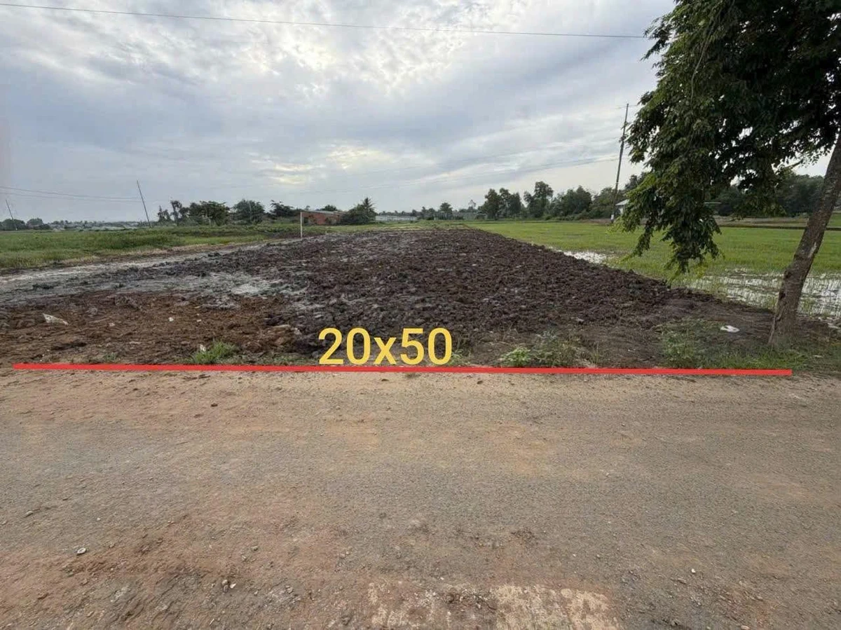 Bán đất full thổ 1000m2 mặt tiền Mỹ Lệ Tây Ninh - Ảnh 1