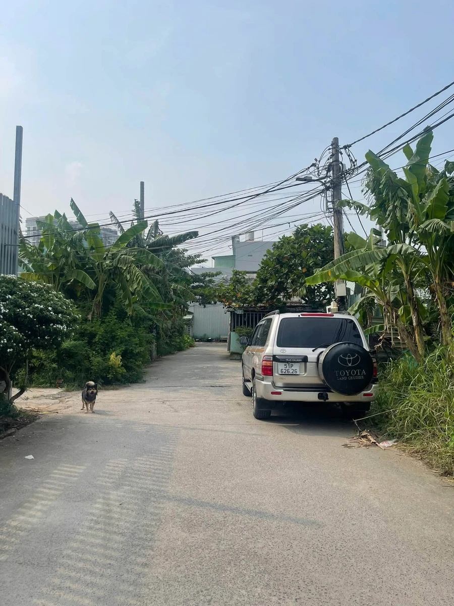 Bán đất mặt tiền Quận 9 60m2 - Ảnh thu nhỏ 2