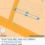 Bán lô đất 1000m² Cẩm Mỹ, giá 450 triệu - Ảnh thu nhỏ 1