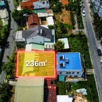Bán đất 236m2 mặt tiền Nguyễn Trãi, Đà Lạt - 15,9 tỷ - Ảnh thu nhỏ 3