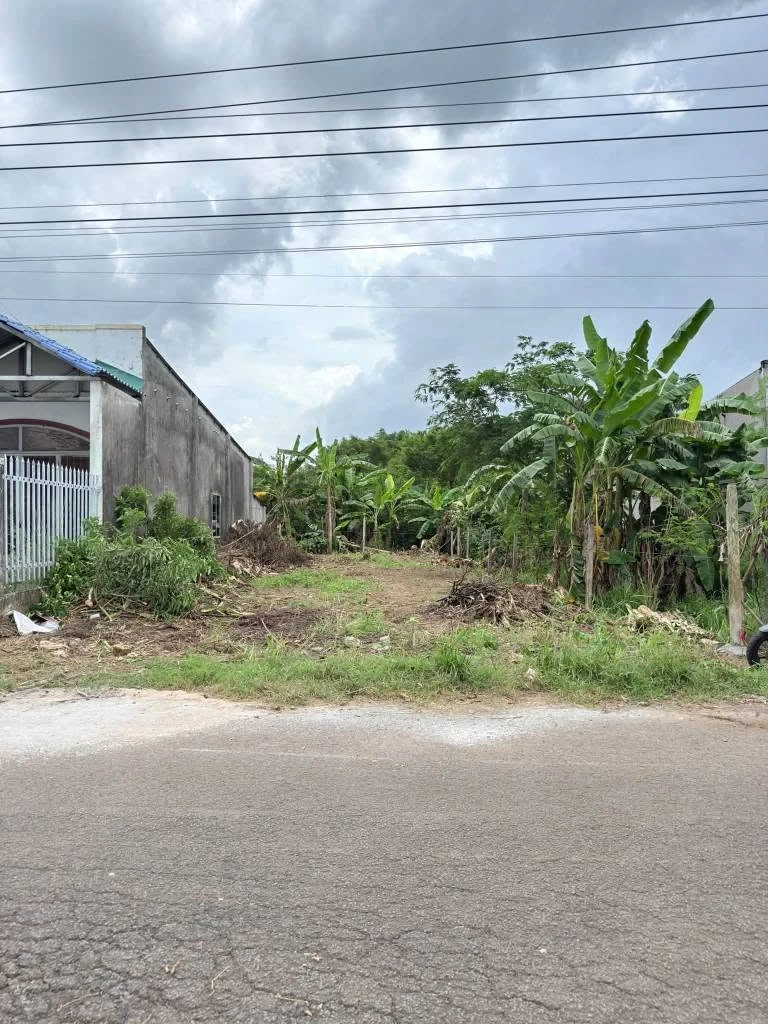 Bán đất mặt tiền Long Khánh 200m² sổ riêng 920 triệu - Ảnh thu nhỏ 3