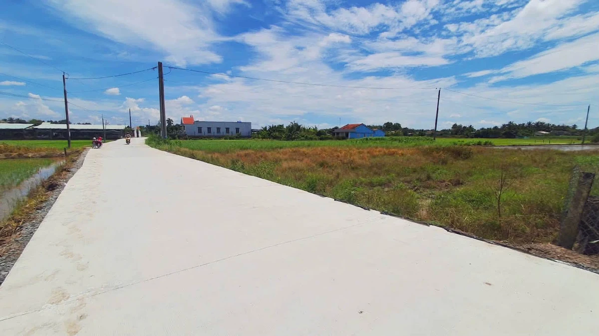 Bán đất thổ cư mặt tiền 6m Tân Trụ, 150m², 599 triệu - Ảnh thu nhỏ 2