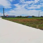 Bán đất thổ cư mặt tiền 6m Tân Trụ, 150m², 599 triệu - Ảnh thu nhỏ 2