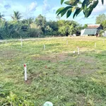 Bán nền đất 175m² mặt tiền Vĩnh Long 379 triệu - Ảnh thu nhỏ 2