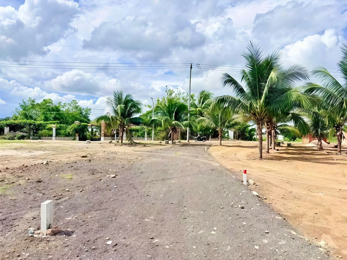 Bán đất xã Phước Hải 211m2, cách biển 4km, 1 tỷ 350 triệu - Ảnh thu nhỏ 5