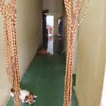 Bán nhà 155m² Tháp Chàm, Khánh Hòa 1,4 tỷ - Ảnh thu nhỏ 2