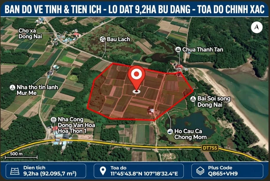 Bán 9,2 ha đất rừng sản xuất có cao su, sầu riêng tại Bù Đăng, Bình Phước - Ảnh 1