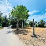 Bán đất mặt tiền Nguyễn Trãi 5,5x19m chỉ 9xx triệu, Bình Chánh - Ảnh thu nhỏ 2