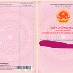 Bán QSDĐ và TS gắn liền với đất thuộc thửa 744, TBĐ 34, P. Thắng lợi, TP. Pleiku, T. Gia Lai - Ảnh thu nhỏ 2