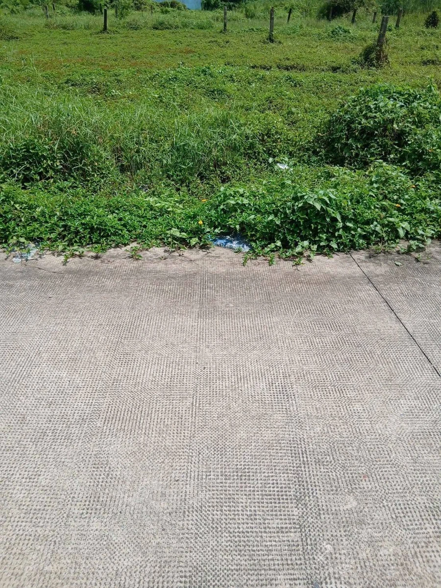 Bán đất thổ cư 10x32m (320m2) xã Dương Xuân Hội, Châu Thành, Long An giá 799 triệu - Ảnh thu nhỏ 2