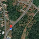 Bán đất 10.000m² gần trung tâm Gia Nghĩa, Lâm Đồng 4,6 tỷ - Ảnh thu nhỏ 2