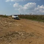 Bán 2 ha đất mía có nhà, ao, giếng khoan giá 270 triệu tại xã Cư M'lan, Ea Súp, Đắk Lắk - Ảnh thu nhỏ 2