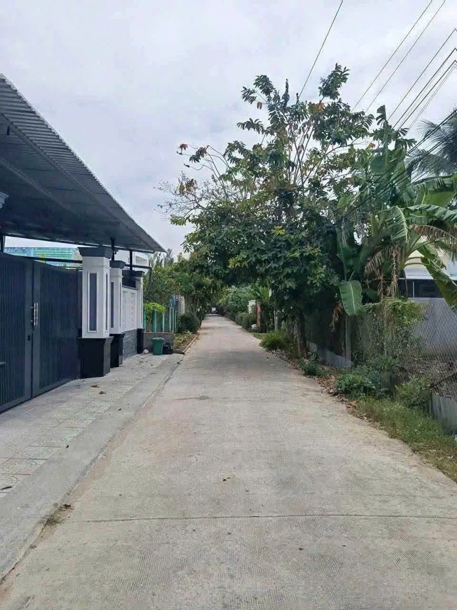 Bán nhà mặt tiền 110m2, 2PN, Xã Phú Nhuận, Bến Tre - 1 tỷ 250 triệu - Ảnh 1