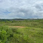 Bán 1,1 ha đất trồng điều Xã Tân Hoà 670 triệu - Ảnh thu nhỏ 1