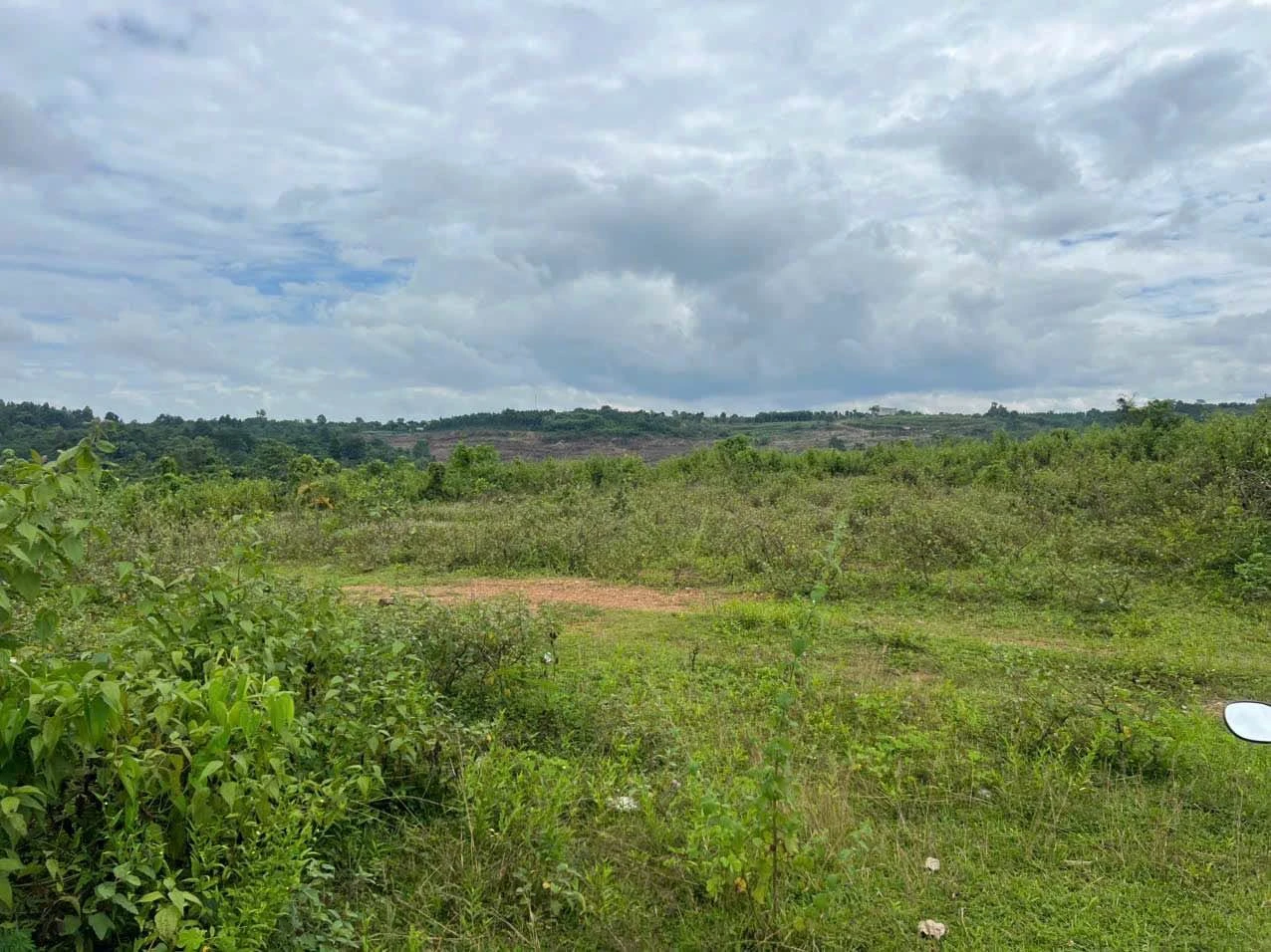 Bán 1,1 ha đất trồng điều Xã Tân Hoà 670 triệu - Ảnh 1