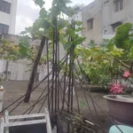 Bán đất hẻm Chu Văn An, Bình Thạnh, 240m², 22 tỷ - Ảnh thu nhỏ 1