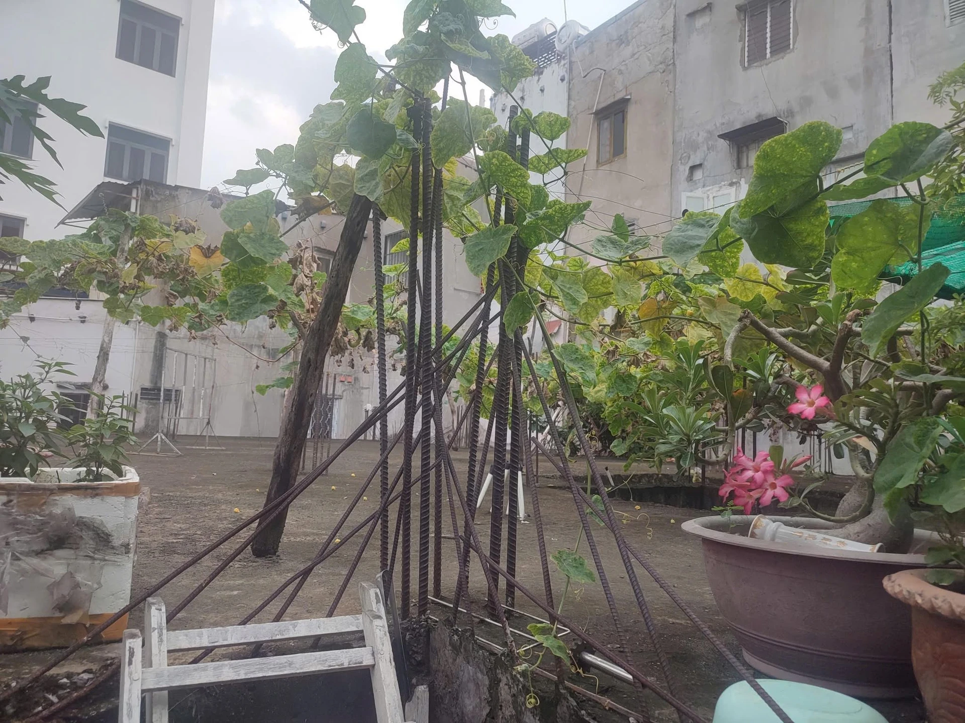 Bán đất hẻm Chu Văn An, Bình Thạnh, 240m², 22 tỷ - Ảnh 1