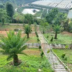 Bán nhà đất khu nghỉ dưỡng kết hợp kinh doanh - Ảnh thu nhỏ 9