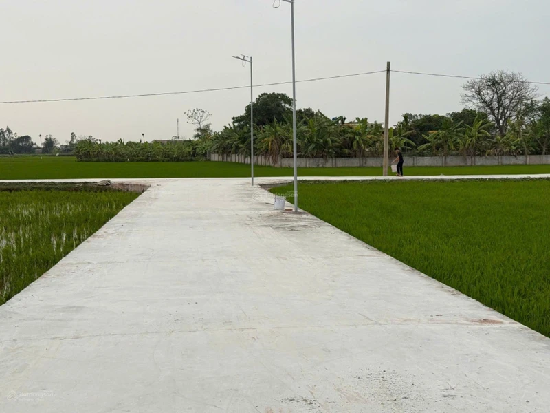 Bán đất 120m² tại Thôn Thiện Tường, Xã Nam Thịnh, Huyện Tiền Hải, giá nhỉnh 5 trăm triệu